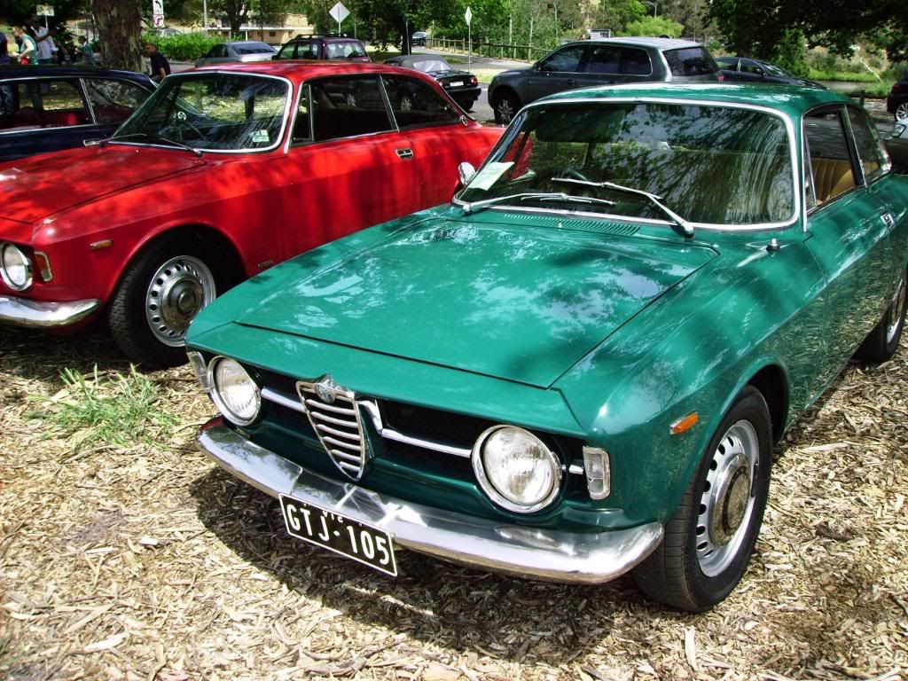 Victoria Alfa Club (Australia) Spettacolo Alfa Romeo Forums